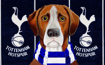 Spurs News Hound
